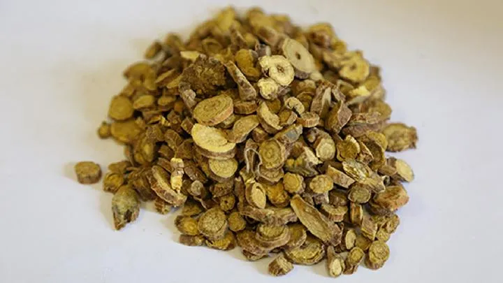 黄芩的功效作用与主治是什么