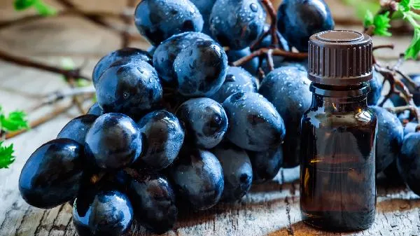 葡萄籽嚼碎了吃行吗