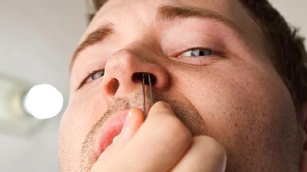 鸡杂有哪些部位可以吃