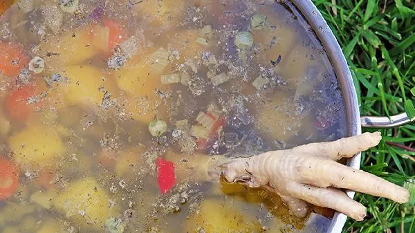 如何做乌鸡汤最有营养