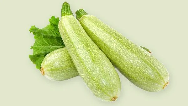 西葫芦的别名是不是笋瓜