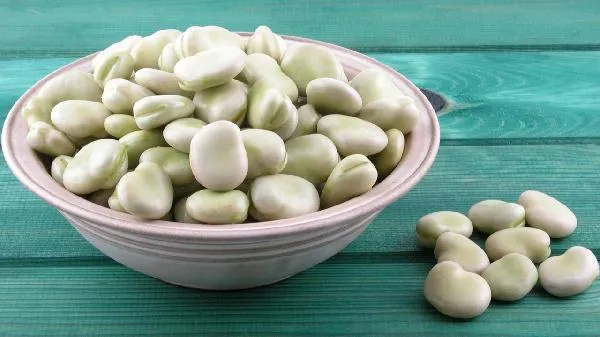 蚕豆的热量是多少