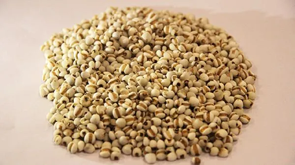薏米红豆怎么煮去湿气 薏米红豆去湿气多久见效