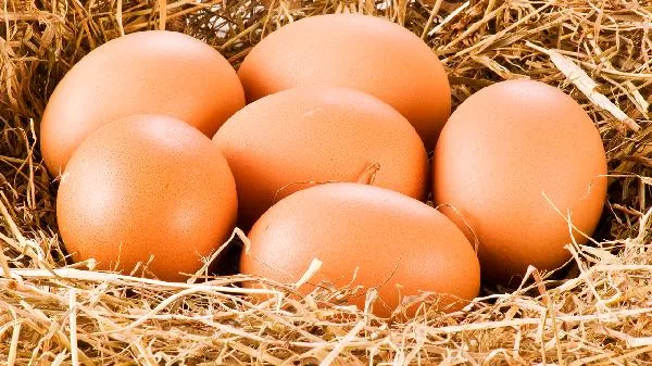 高糖食物都有什么