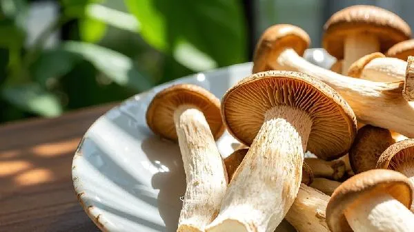 鹿茸菇是凉性还是热性