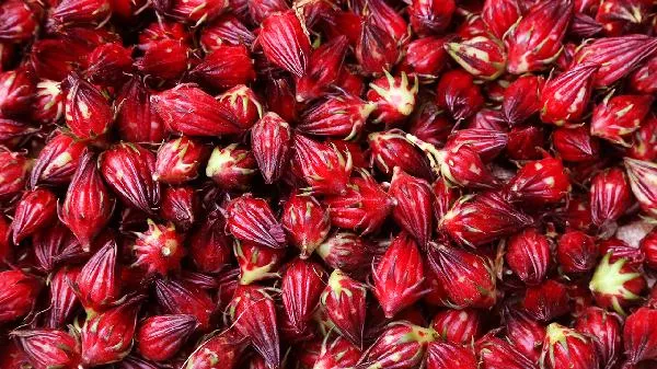 玫瑰可以和干柠檬一起泡吗 柠檬干玫瑰花茶怎么泡