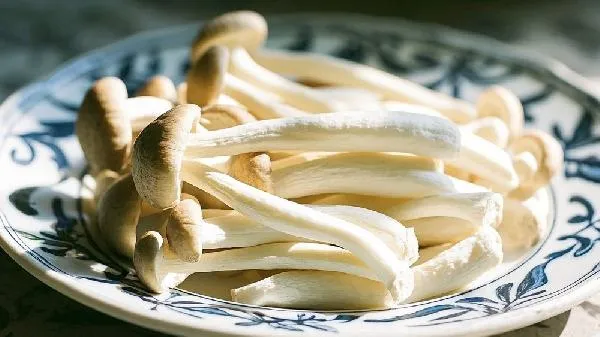 鹿茸菇是凉性还是热性