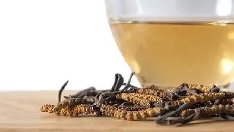 冬天吃虫草好吗 冬天吃虫草易上火吗