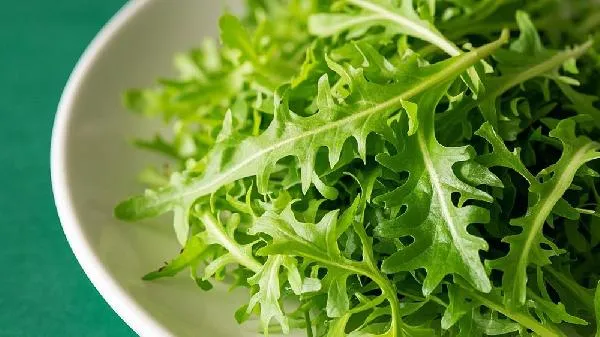 苦菜尽量少吃最好不吃