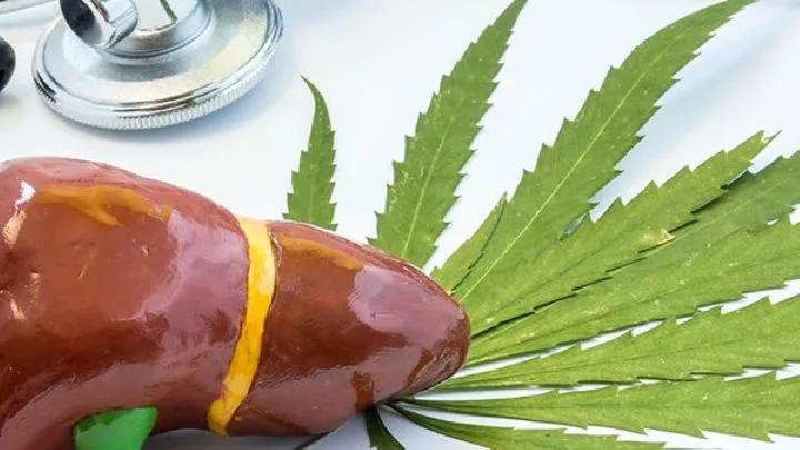 生活中哪些食物更养胃