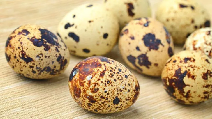 老人冬季饮食养生注意什么？老人冬季饮食养生的禁忌是什么？