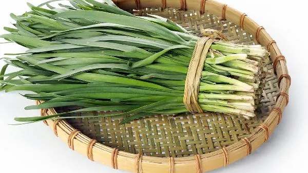 韭菜怎么保存新鲜不烂放冰箱