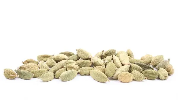 豆蔻和白蔻仁一样吗