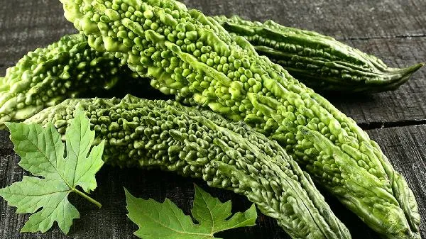 苦瓜茶泡水喝有什么功效