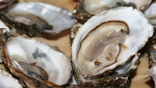 补锌用生牡蛎粉还是煅牡蛎粉
