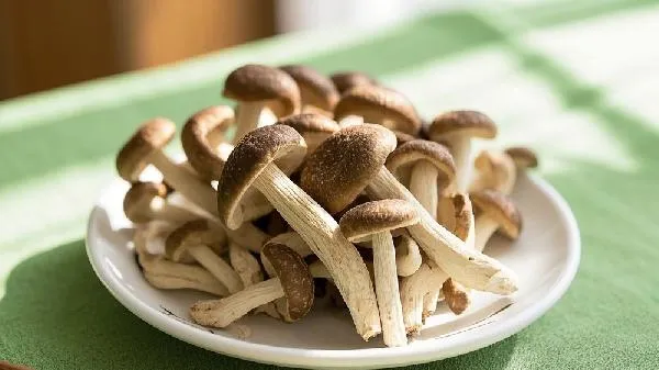 鹿茸菇是凉性还是热性