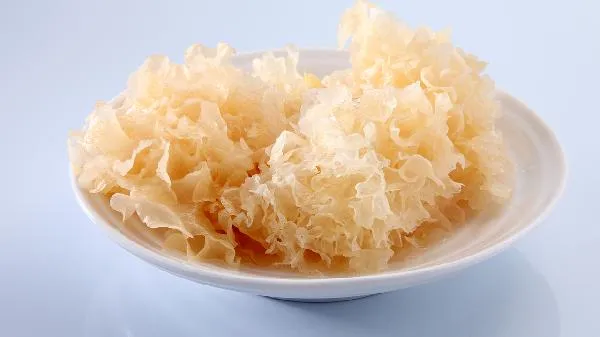 长得像银耳的菌菇