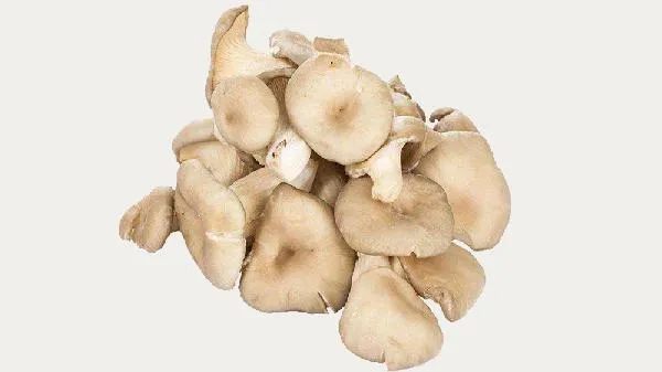平菇焯水好还是不焯水