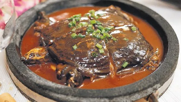 黄甲鱼好还是青甲鱼好