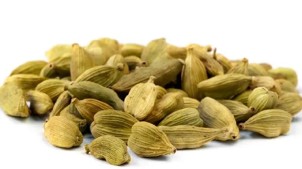 豆蔻和白蔻仁一样吗