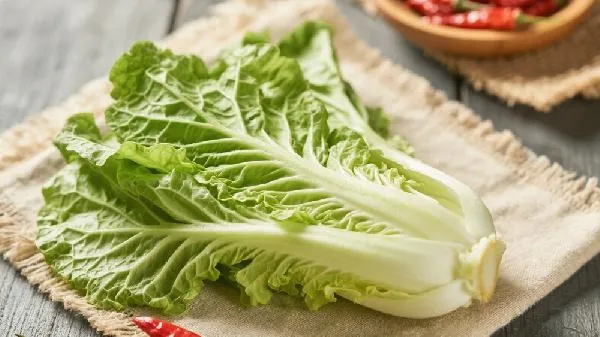 芥菜苦味对人体有害吗