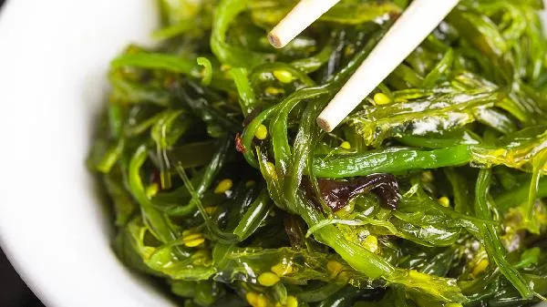 鲜海带冷藏还是冷冻好