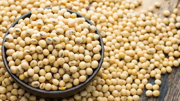 破壁机打豆浆黄豆和水的比例是多少