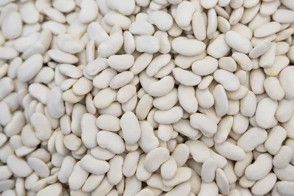 全谷物属于谷薯类食物吗