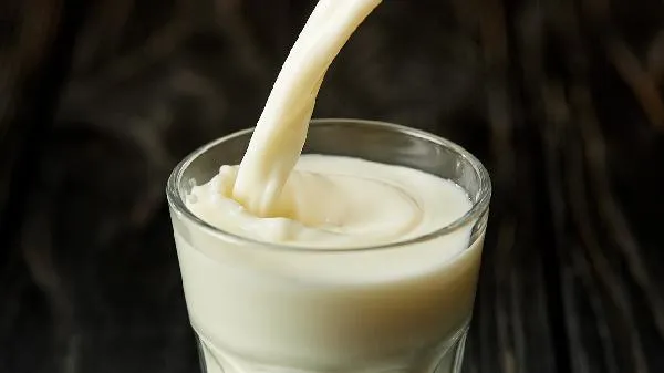 鲜牛乳和纯牛奶一样吗
