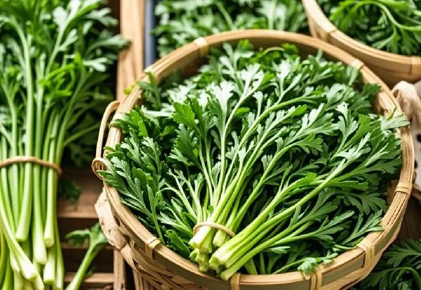 茼蒿有苦味可以吃吗