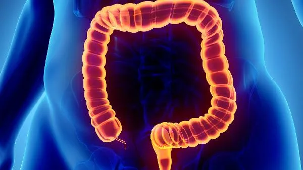 粗纤维食物有哪些好处 粗纤维食物有哪些