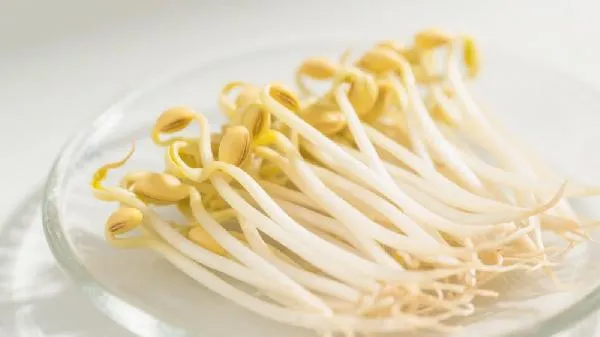 黄豆芽怎么洗壳容易分开