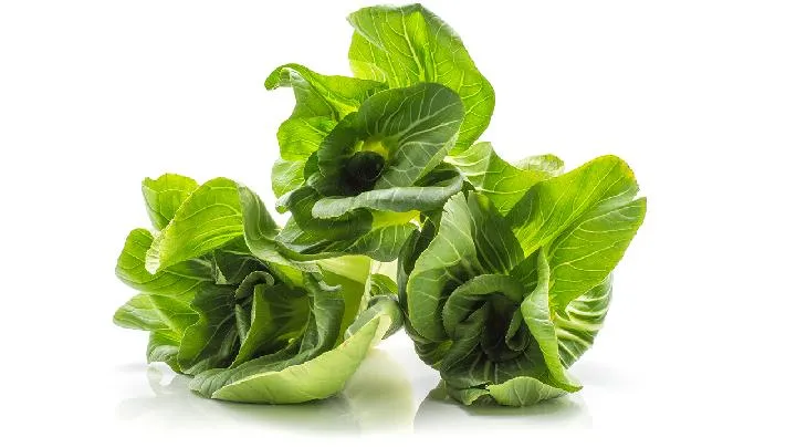尿酸高能吃油菜吗