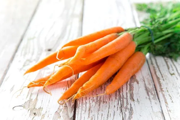 吃蒸饺会不会胖早上