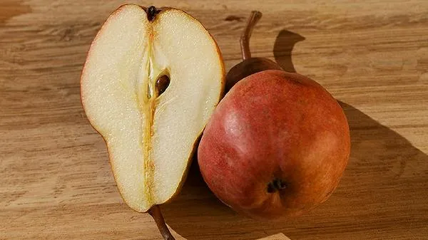 高脂肪的食物是什么东西