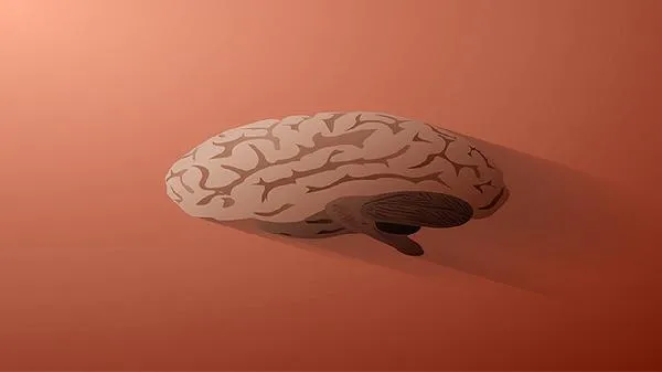 青少年健脑吃什么 12款益智健脑食物