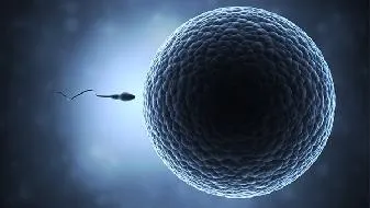 男士养发应该补充什么 男士养发应该吃些什么？