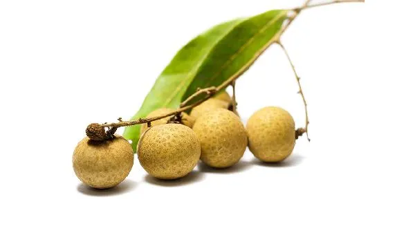 高脂食物排行榜最新