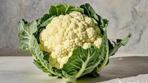 花菜洗干净可以放多久