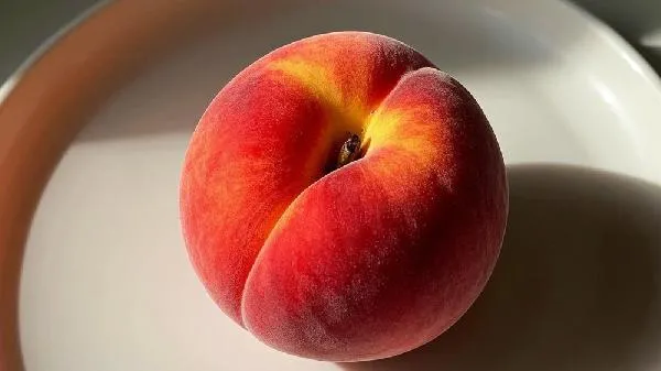 桃子的毛为什么不能吃