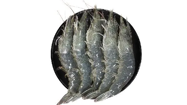 怎样挑选新鲜海虾呢