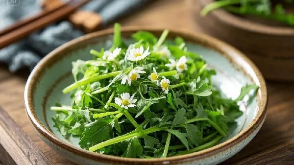 野生荠菜几月份可以挖
