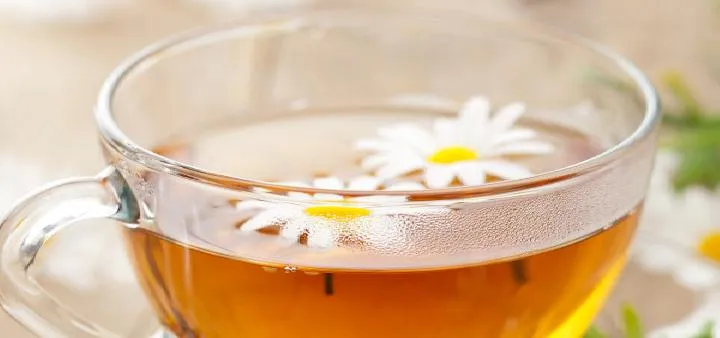 菊花茶应该怎样喝才养生 菊花茶这样喝清热解毒