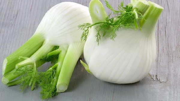 茴香苗素饺子馅怎么调