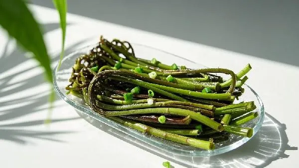 拳菜和蕨菜的区别